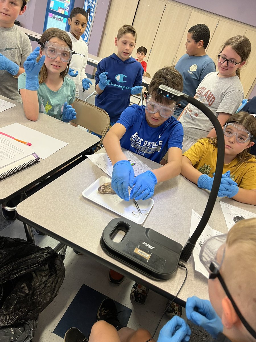 Mrs. Fannon🍎 tweet media