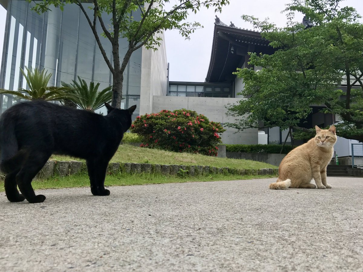 猫太郎のお店 川崎駅銀柳街店 on X: 