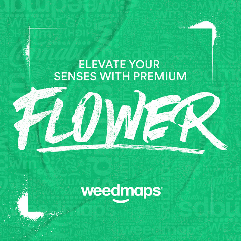 weedmaps's tweet photo. Swipe to explore all your elevated options on Weedmaps.

🌿 Flower
🍯 Concentrates
💨 Pre-rolls
😋 Edibles
😮‍💨 Vape pens
😌 CBD