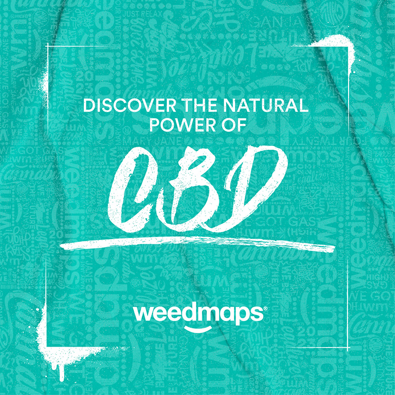 weedmaps's tweet photo. Swipe to explore all your elevated options on Weedmaps.

🌿 Flower
🍯 Concentrates
💨 Pre-rolls
😋 Edibles
😮‍💨 Vape pens
😌 CBD