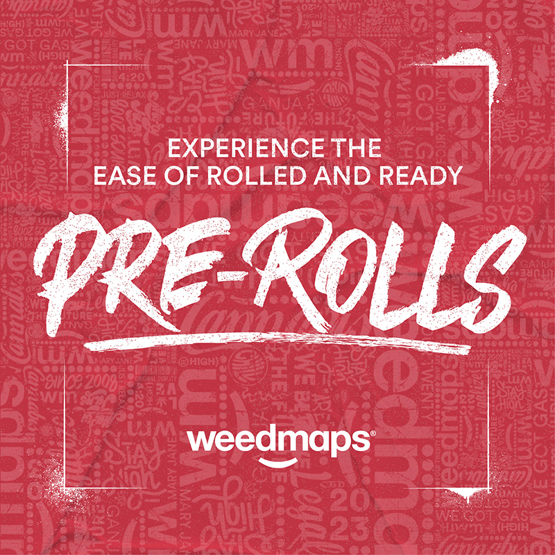 weedmaps's tweet photo. Swipe to explore all your elevated options on Weedmaps.

🌿 Flower
🍯 Concentrates
💨 Pre-rolls
😋 Edibles
😮‍💨 Vape pens
😌 CBD
