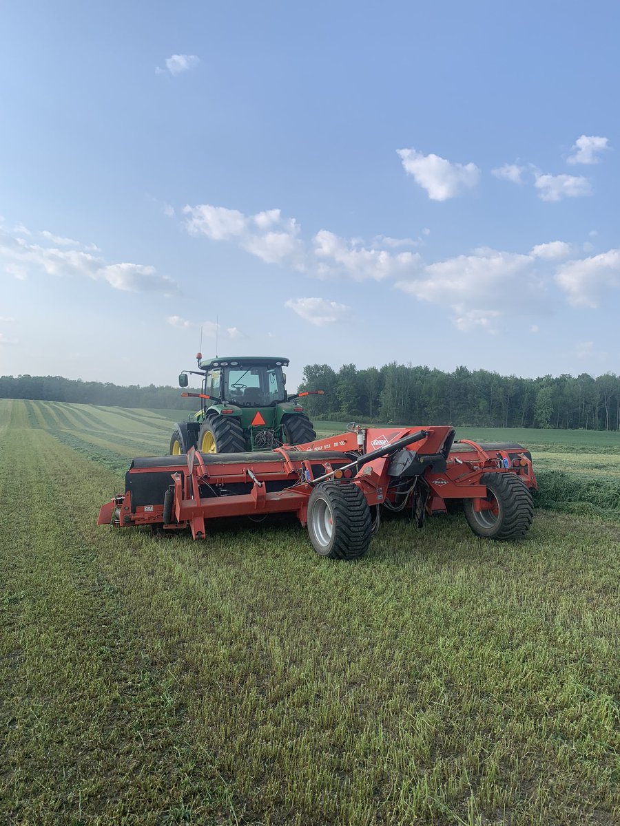 Gorgeous week for 1st cut! Now we just need some rain for second 🤞🌧️#ontag #WorldMilkDay