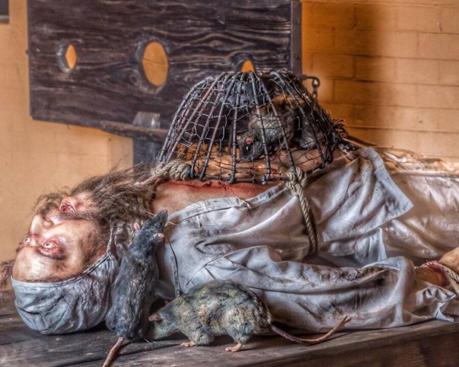 Youridefou's tweet photo. Le supplice du rat est une torture médiévale. Elle consistait à placer des rats, dans une cage attachée au ventre de la victime. La cage était ensuite lentement chauffée, ce qui incitait les rats en détresse à mâcher et à griffer pour s'échapper à travers la victime. https://t.co/kMOKHgNv7R