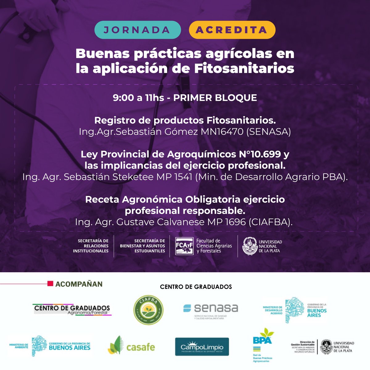 CEAF Franja Morada tweet media