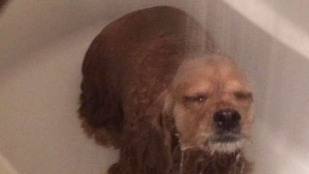 no estudio: rindo mal
estudio: rindo mal
no duermo: rindo mal
duermo: rindo mal