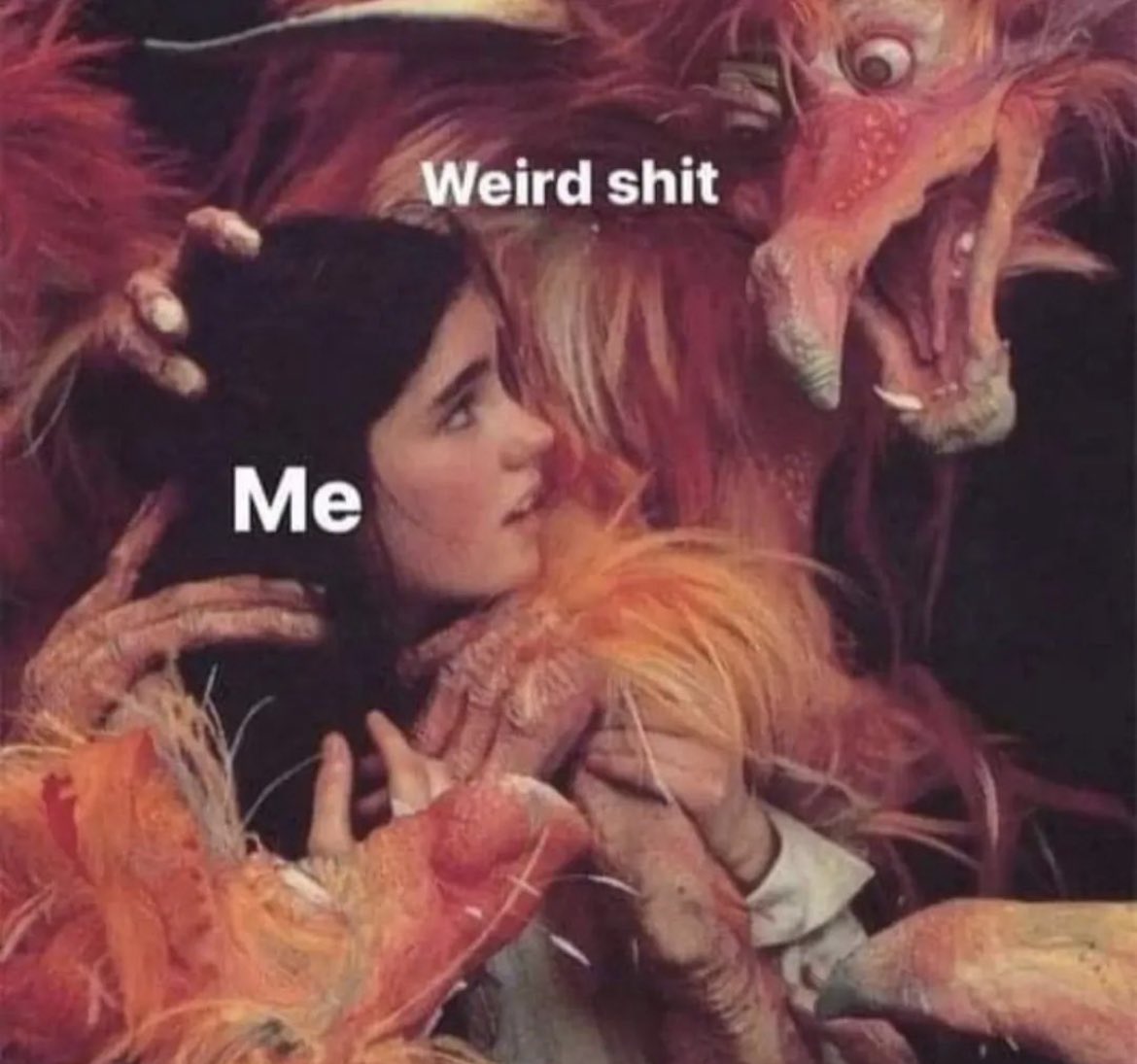 A lot of us. 🖤