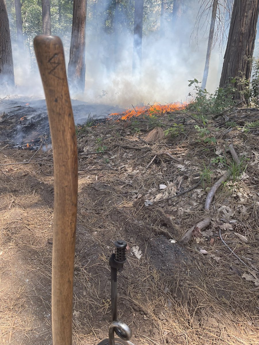 @PlumasNF Prescribed Burn [update]: The column of smoke is visible in the valley around Oroville and southern Butte County.  Again, this is phase 1 of a control burn near Forbestown. They Forest Service plans to burn for a few days in a row.