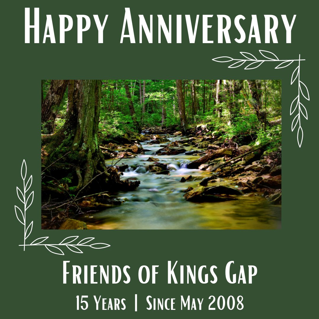 PaPFF's tweet photo. Happy 15th Anniversary #FriendsOfKingsGapStatePark!
📸 Douglas Clifford, #KingsGapStatePark
#PPFF #PAStatePark #Pennsylvania #GetOutdoors #ExploreOutdoors #GoOutside #Nature #BabblingBrook #PennsylvaniaIsBeautiful #SupportYourLocalStatePark #KingsGap #ForestStream https://t.co/C9ZKpIuW7i