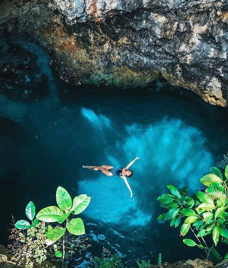 INN Life Science tweet media