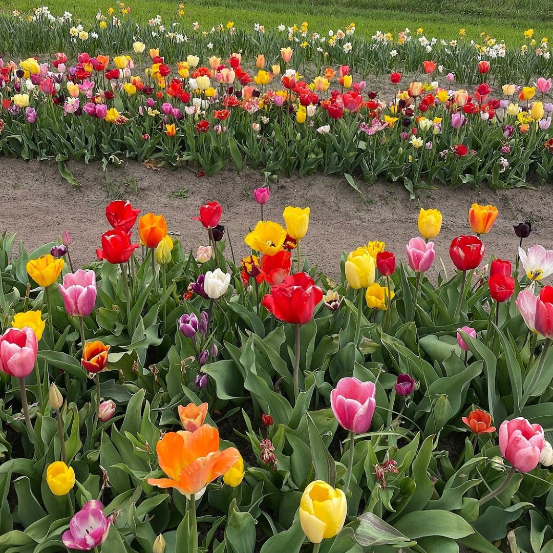 The most beautiful time of year 😍
📸 Katelyn Aschacher

#HancockSquare #Ihearthancock #hangingathancock #lincolnpropco #lpcmidwest #livelovelincoln #lpcyoubelonghere #lpclovewhereyoulive #lpchometogether #lovewhereyoulive