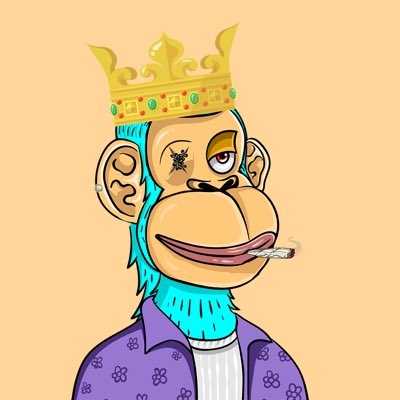 CryptoNews tweet media