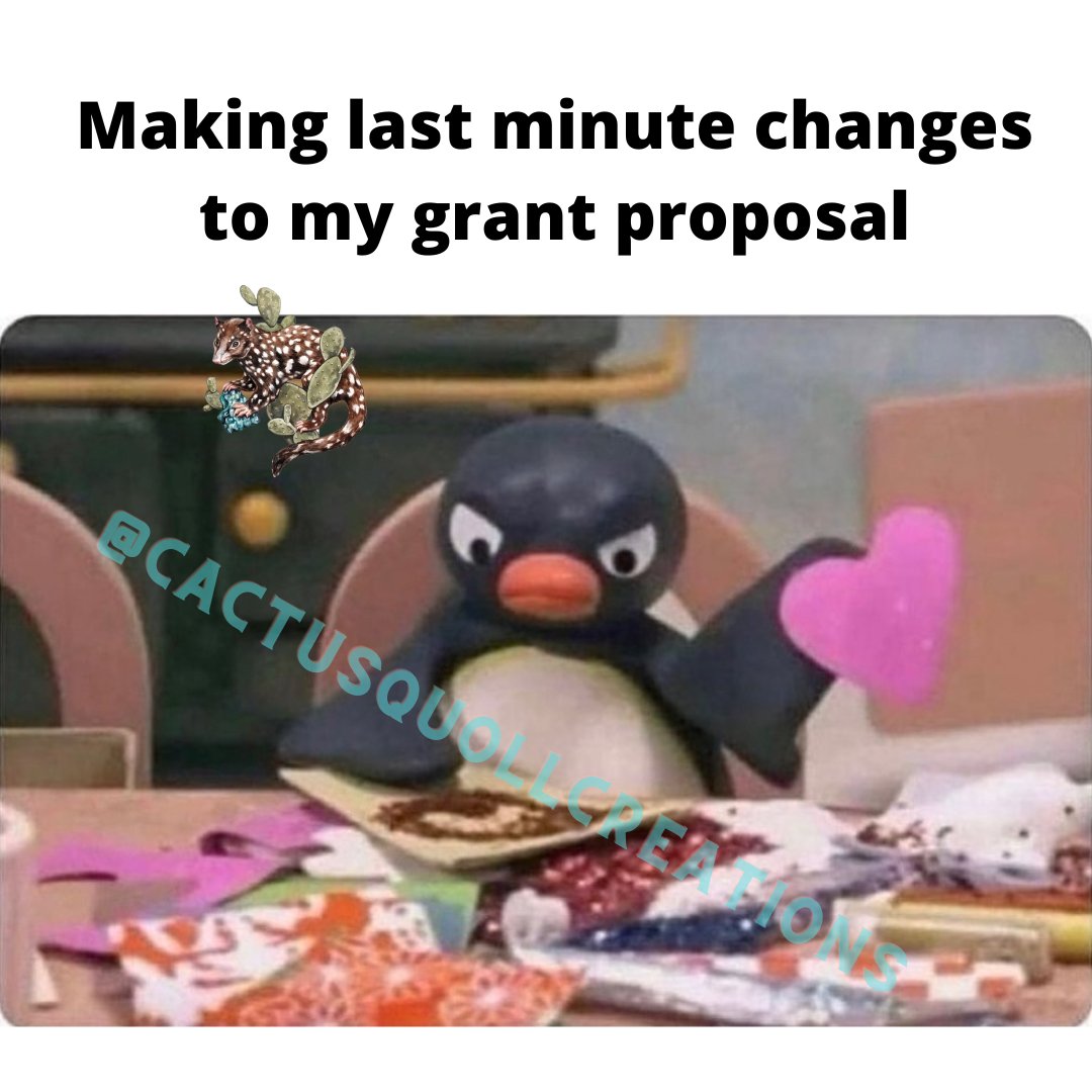 Gael Sanchez (she/her) (@cactusquoll) on Twitter photo 