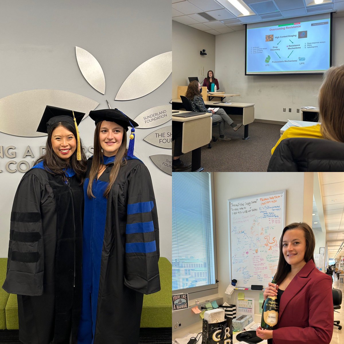 nglab_malaria's tweet photo. Melissa’s official last day in the lab. Congratulations Dr. Rosenthal! Looking forward to seeing your work in the @thegoldberglab #firstPhDstudent #graduation https://t.co/fRfHXD4kR2