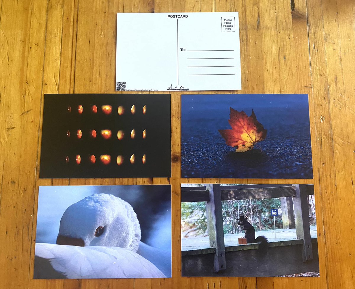 AutumnPhoenix14's tweet photo. Postcards are now finally on sale!

Normal cost will be 5 ea. On SALE for first release for $3 ea.!

Contact me for more details!
_____________
https://t.co/VPZJKoDo8H

#postcards #photographer #photos #mail #mailtime #postcardexchange #postcardswapping #pretty #beautiful https://t.co/DTTqauAUO6