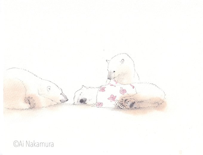 「polar bear watercolor (medium)」 illustration images(Latest)