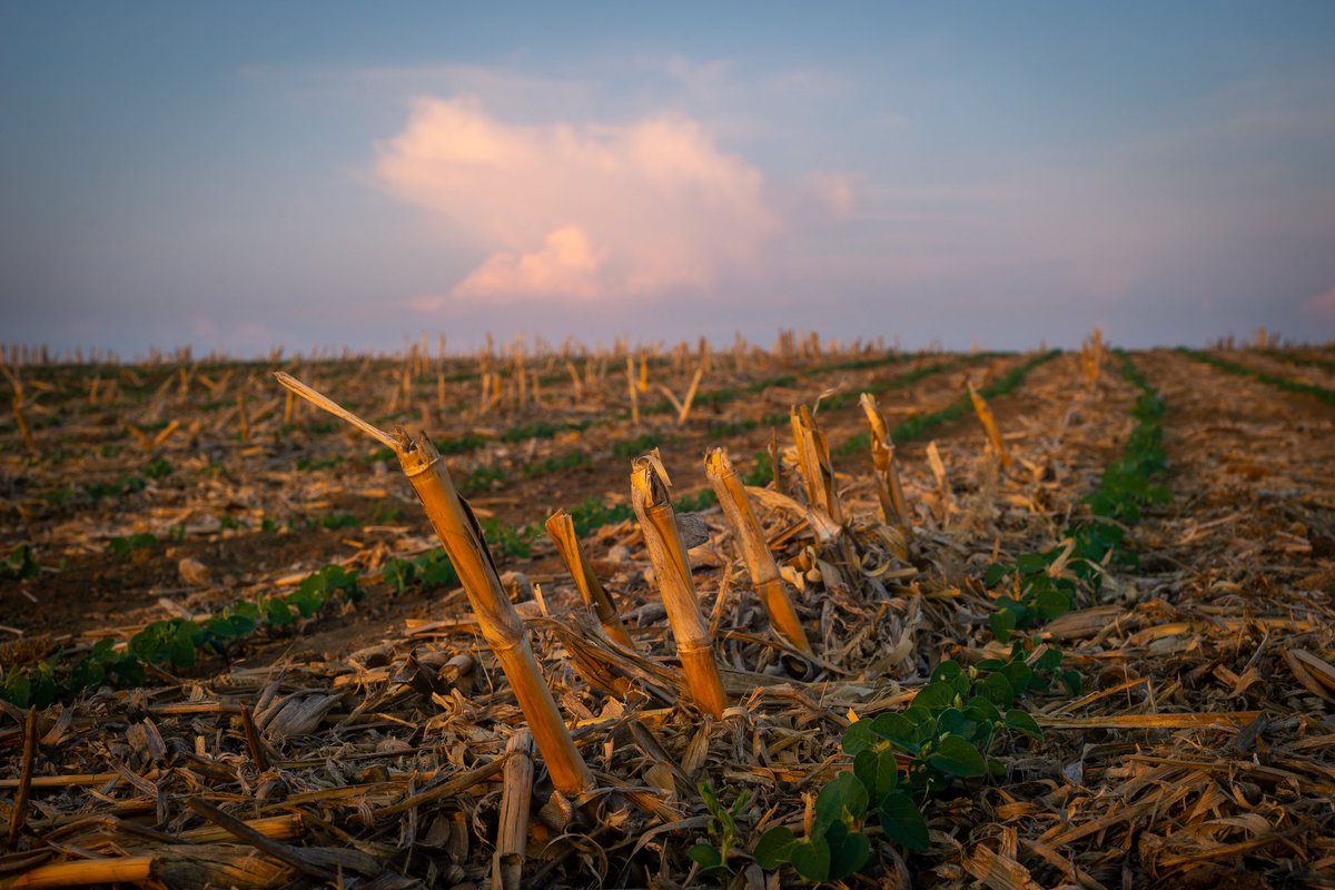 Darth Malbec 🍷 tweet media