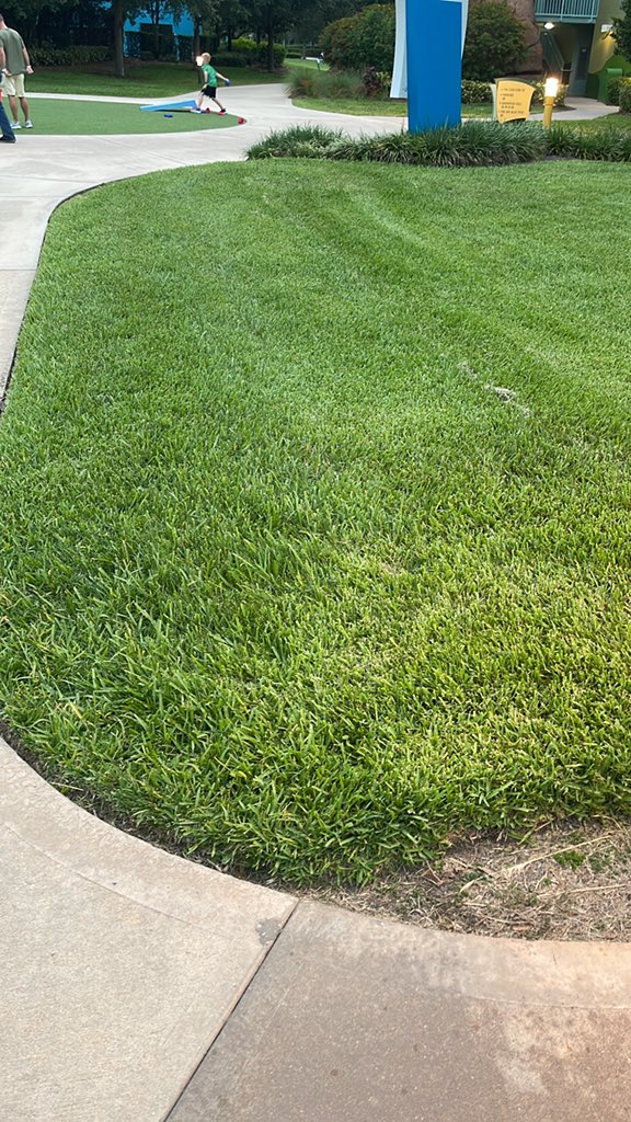 Plex thoughts tweet media