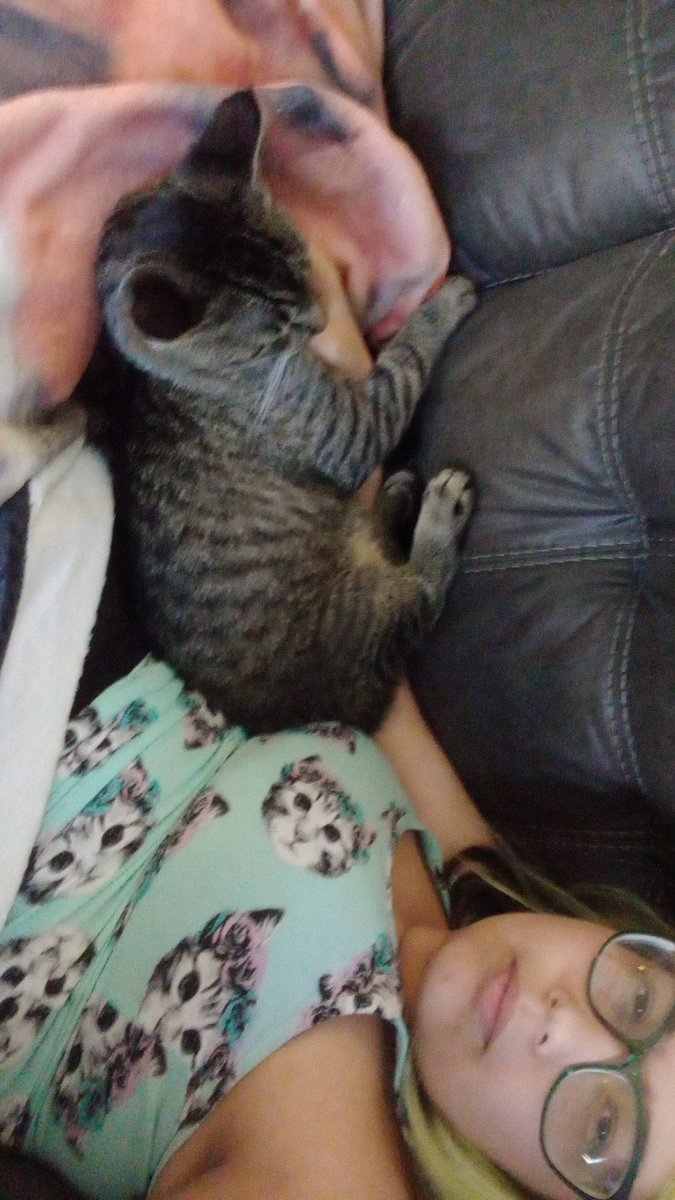 Mako_Soup's tweet photo. @NoContextHumans Me cuddling my cat? https://t.co/1ie4OUq4U3