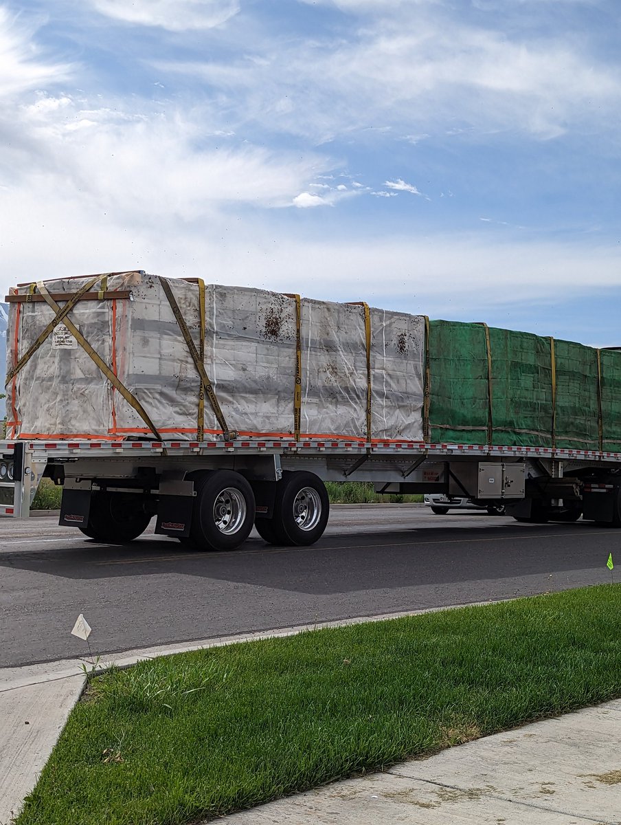 Kuta Marler Book Wyrm tweet media