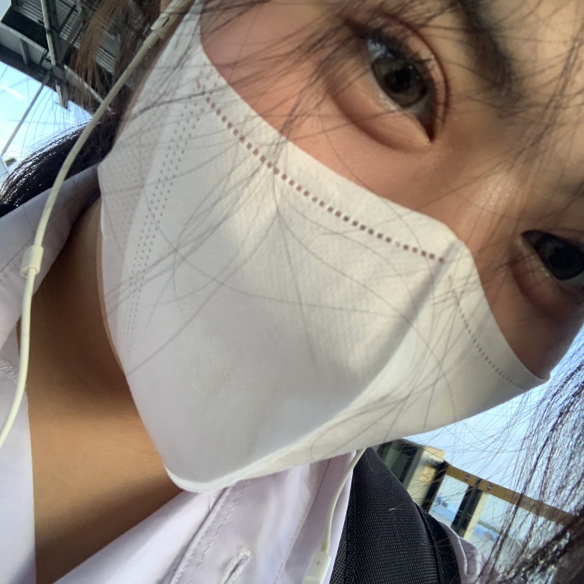lee tweet media