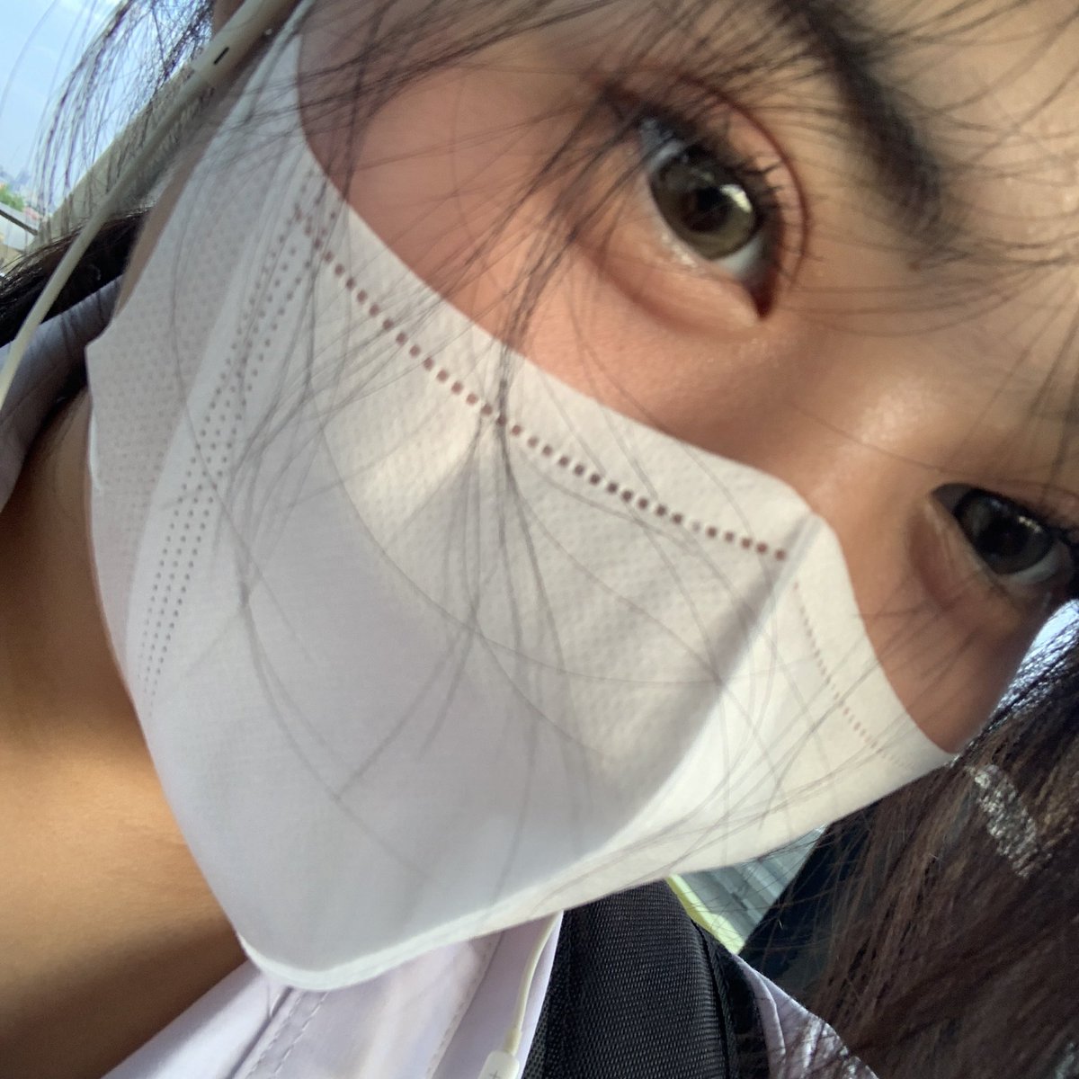 lee tweet media