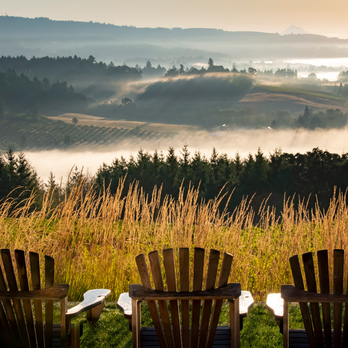 As Oregon Wine Month comes to a close, we want to extend our gratitude to everyone that makes our community what it is today and what it will be in the future.