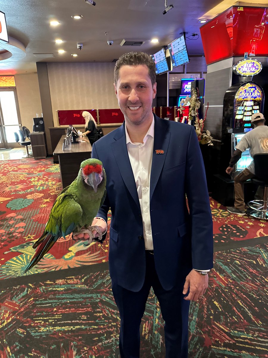 Happy World Parrot Day! Throwback to when @max_fosh had a Parrot bet for him while playing Roulette at the Plaza. ✨🎰🦜

Watch Video: ow.ly/Oog350OBlaX
#Vegas #DTLV #FreemontStreet #OnlyVegas #tbt #Parrot #MoneyPlays