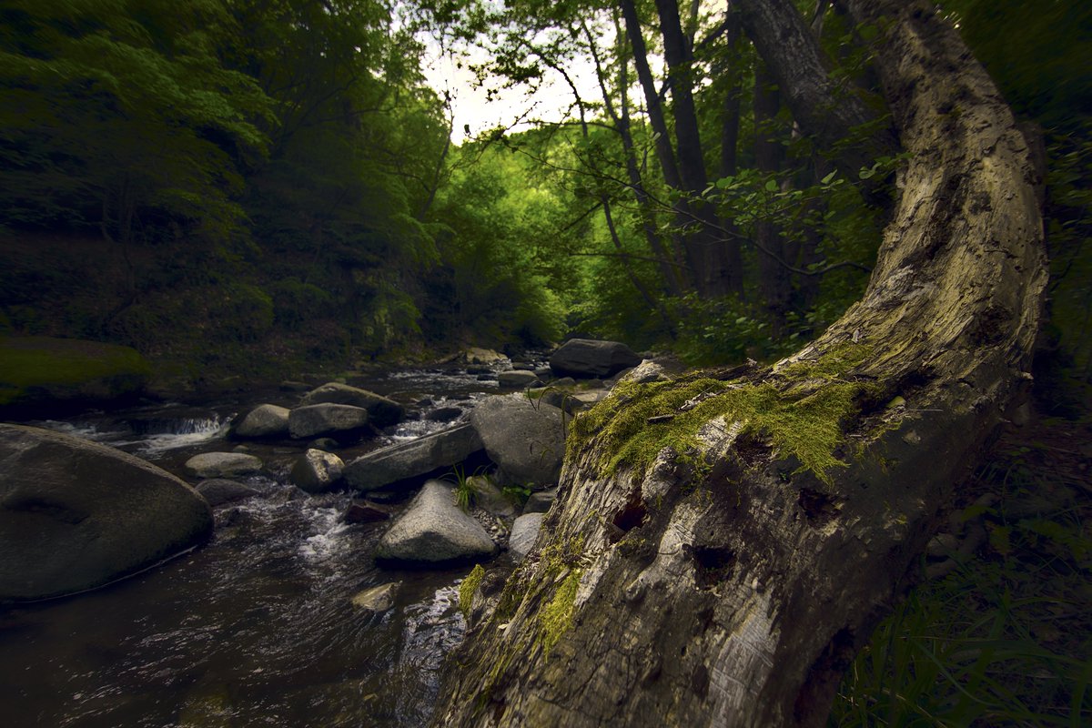 Mountain river

#blooddrainerphotography #photography #bulgaria #photooftheday #picoftheday #adventure #travel #beautiful #canon #nature #forest #mountain #rocks #river #trees #shadows #scenic #dream #relax