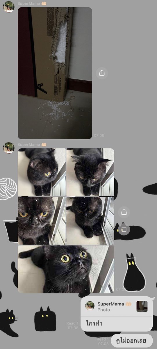 REST เบ๊บ🐈⬛ tweet media