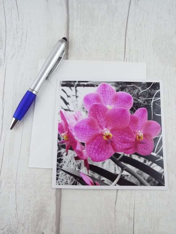 Add a splash of colour into someone's letterbox with this floral card or one of the others in my store

creatoriq.cc/3HppWAC

#Ad #Card #BlankCard #Florals #GreetingCard #JustACard #SplashOfColour #ColourPop #Etsy #ScottishCraftHour #UKMakersHour