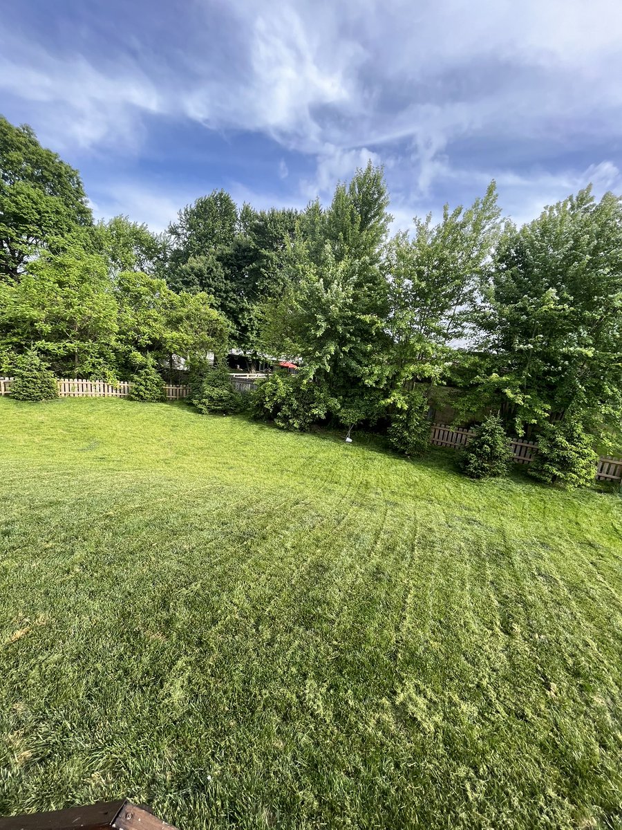 jayvaun_lane's tweet photo. #QualityLANEscaping 

If you or anyone you may know are in need of any quality landscaping services at an affordable rate text me and let me know!!!!!!! 

Like, share, retweet. 

I’m trying to grow and start something amazing and create customer satisfaction!!!!! https://t.co/YrNAvS3MVE