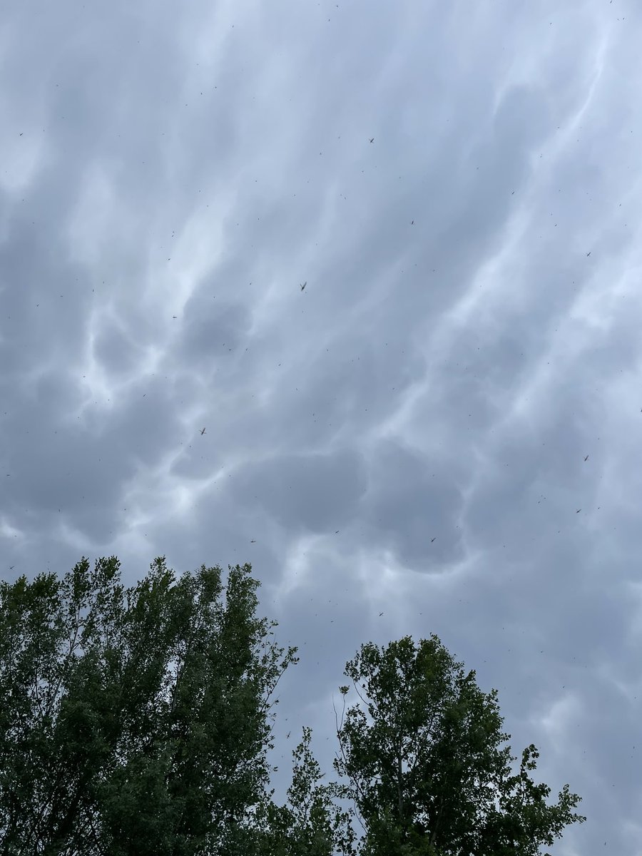 Mamatus now in Grandview #abstorm
