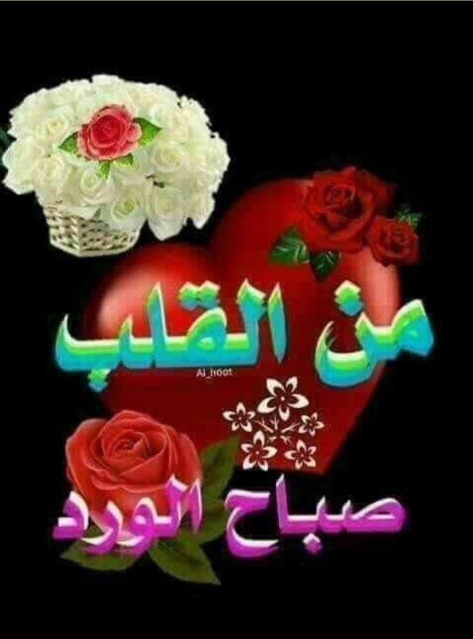 يتجدد الشروق وتتعاقب الصباحات 
 وتظل اشراقة القلوب أجمل بداية  اليوم …
 صباح مشرق ويوم جميل .❤️🌹