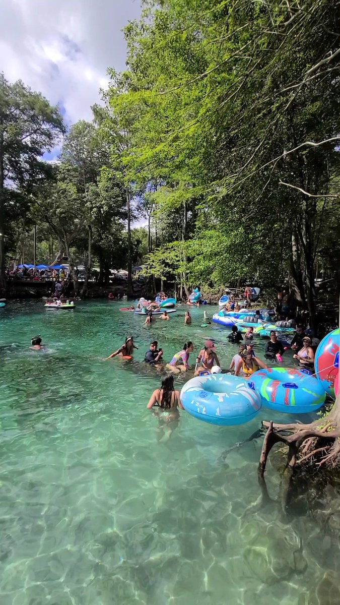 📍Ginnie Springs

#Summer #FloridaSprings #BeatTheHeat #FloridaTravel #GinnieSpring #LazyRiver #SummerVacation #FreeDiving #GoPro