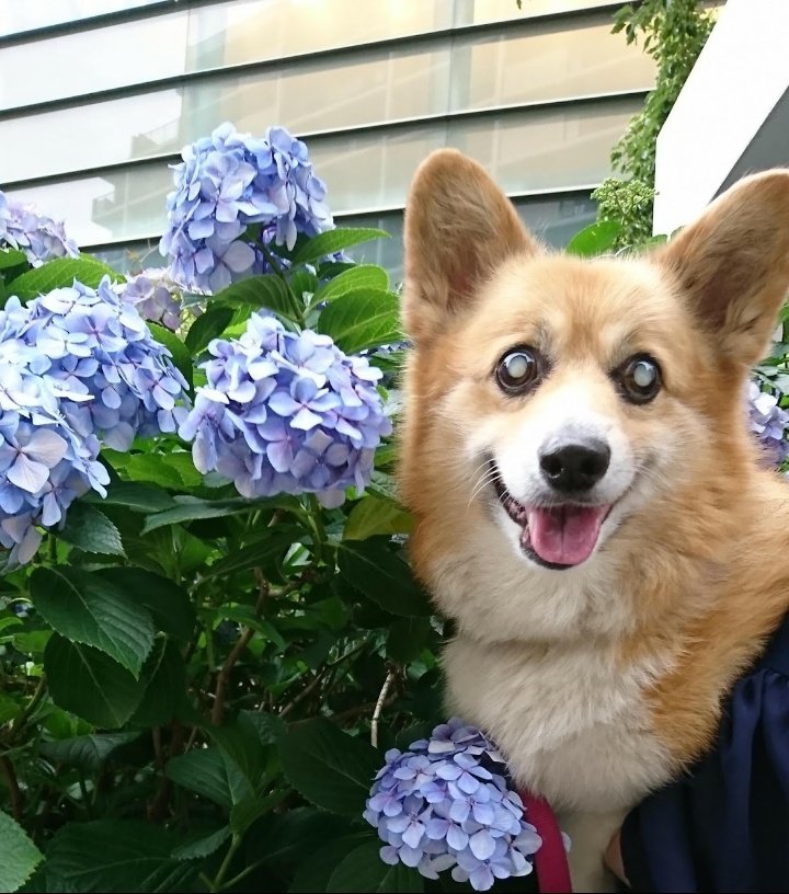 毎年のことだけど…また
上半期がおわりに近づいて
きましたね💦６月。新しい
1ヶ月も宜しくお願いします😊