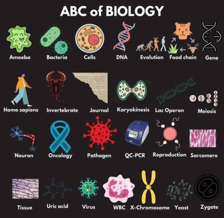 ABC 💙🩵💚💜🤎💚💛🧡