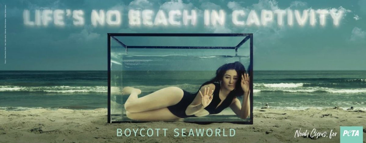 Captivity sucks. #BoycottSeaWorld