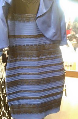 Bring this back. What do you see?
#thedress #the #dress #td