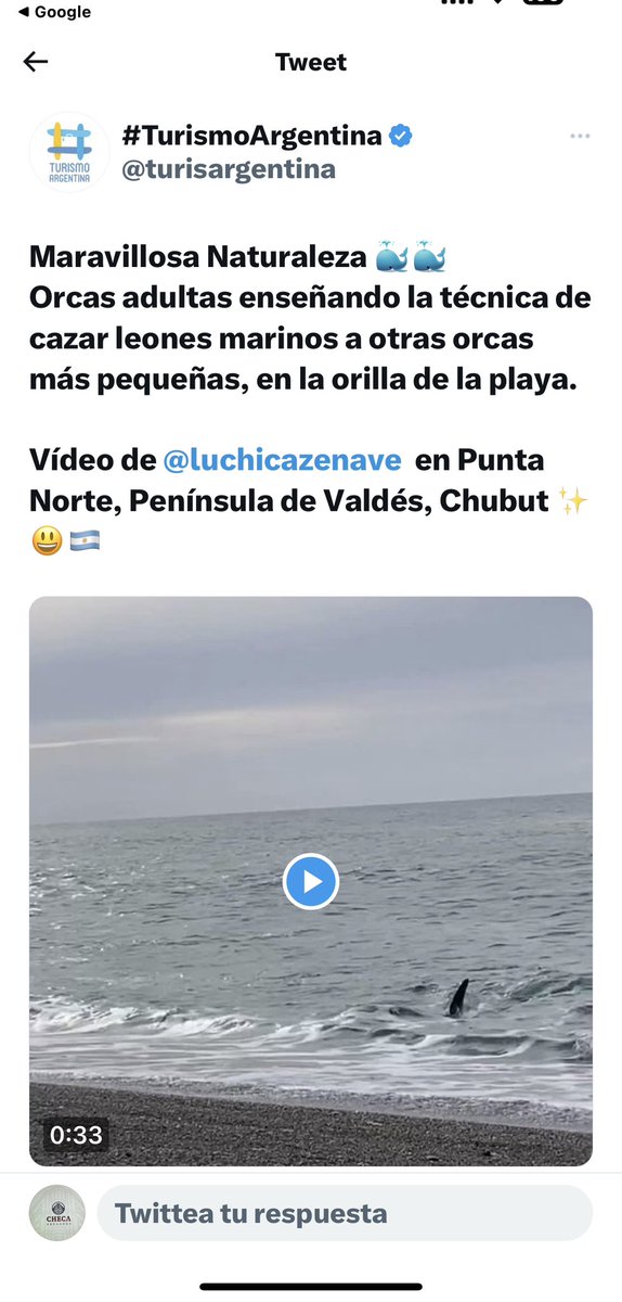 AntCheca's tweet image. Es falso. Este vídeo es de Turismo de Argentina
