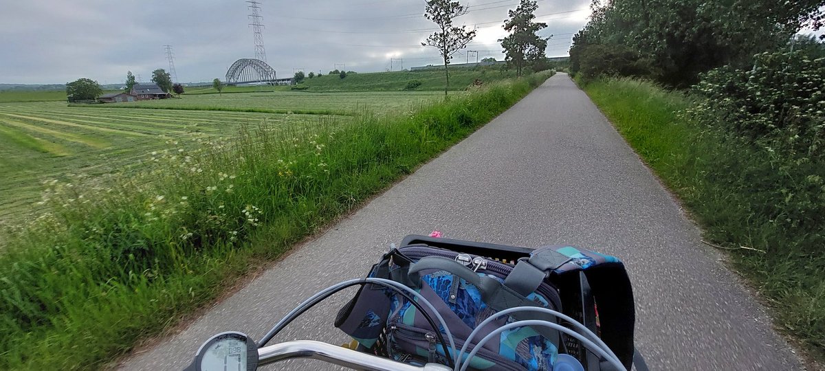 Dr. Nadia Bloemendaal tweet media