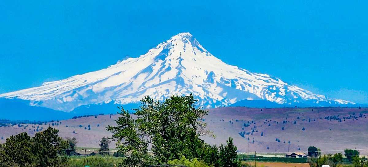 SalmaLeiny's tweet photo. Mount Bachelor.
#Oregonisbeautiful #NaturePhotography #nature #mountbachelor https://t.co/BWEK6hFxyX
