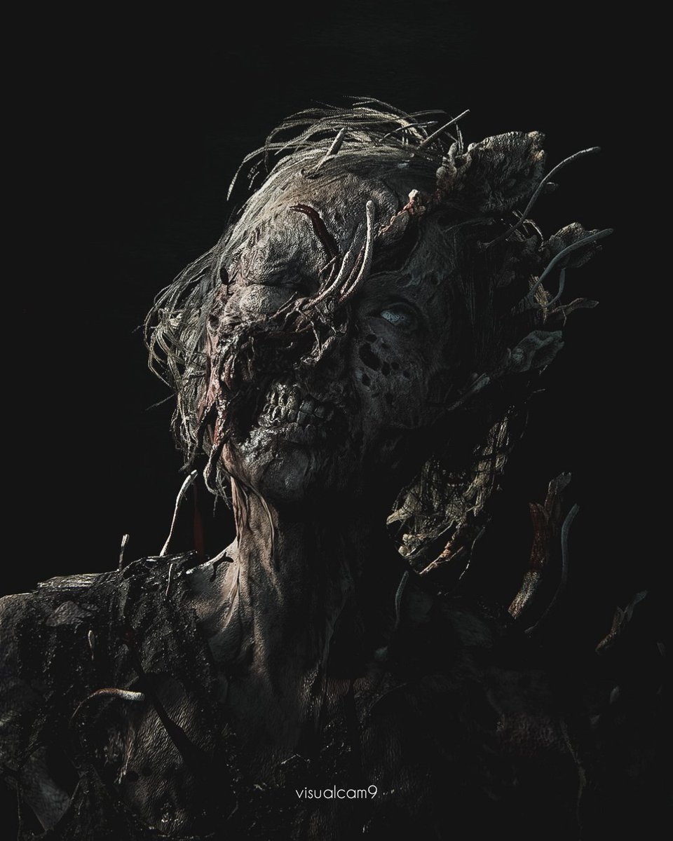 visualcam9 tweet media