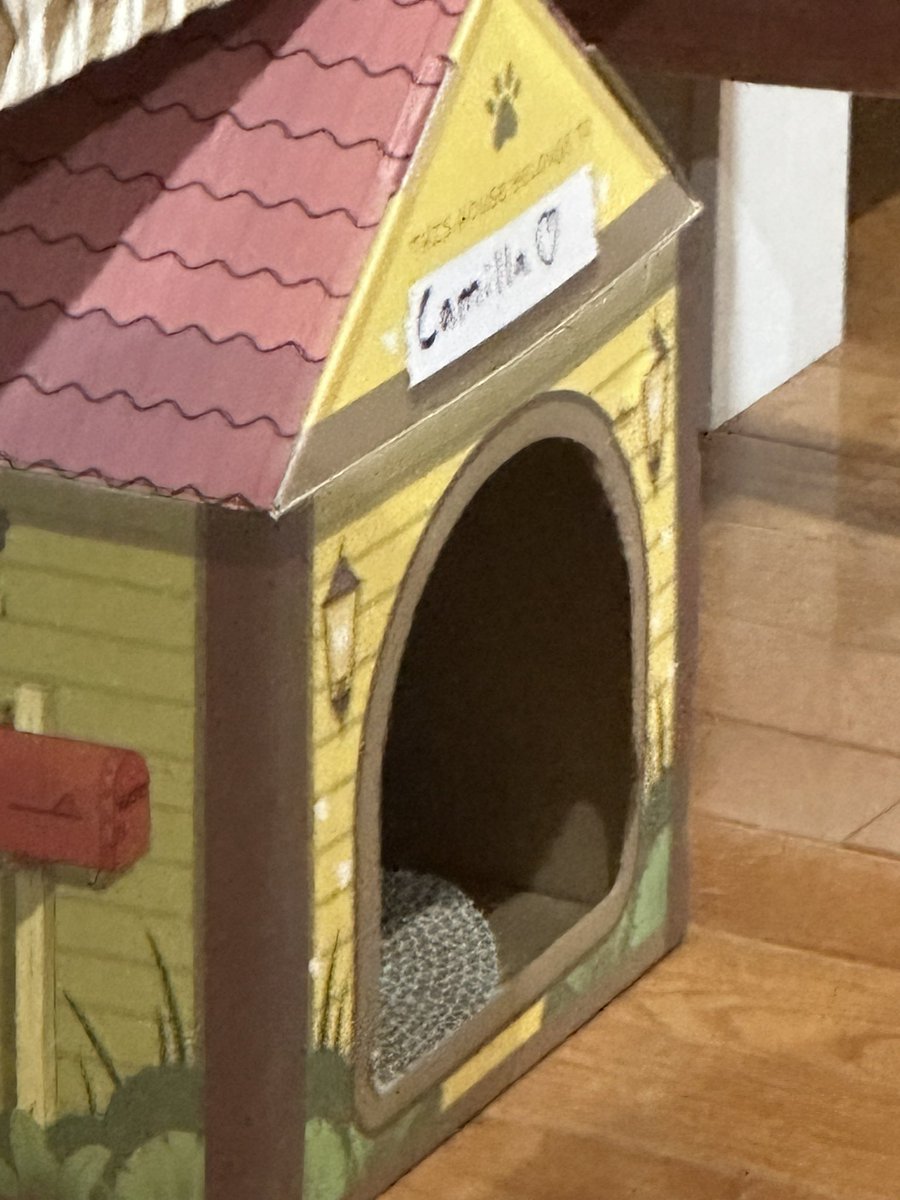 This is what you get without an HOA. 

We have one place in our neighborhood that isn’t governed by the HOA and this is what we get as a neighbor.