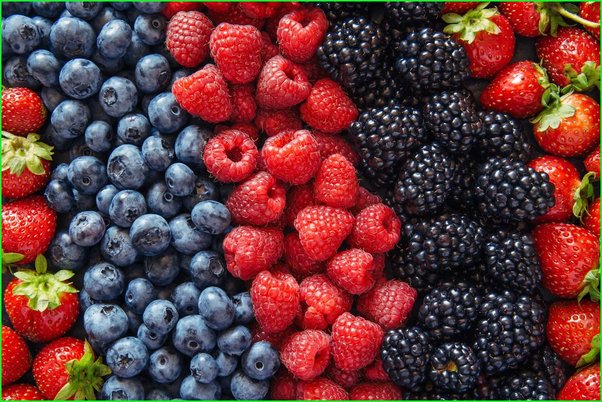 *•.¸.𝐻𝑒𝓂𝓅 𝐸𝒹𝒾𝒻𝒾𝒸𝒶𝓉𝒾🐨𝓃.¸.•*🇵🇸 tweet media