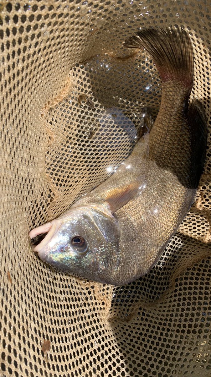 Howard Dunleavy tweet media