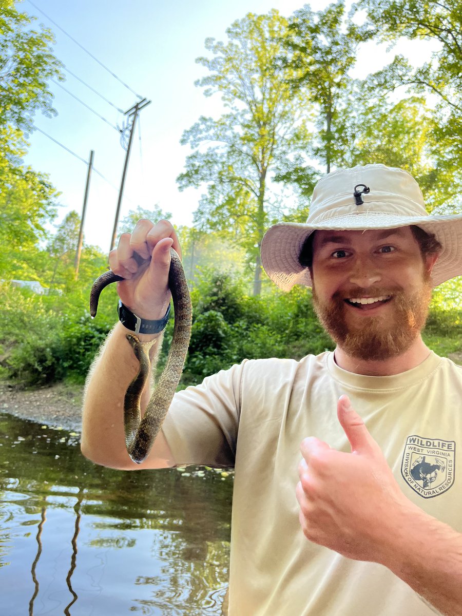 Howard Dunleavy tweet media