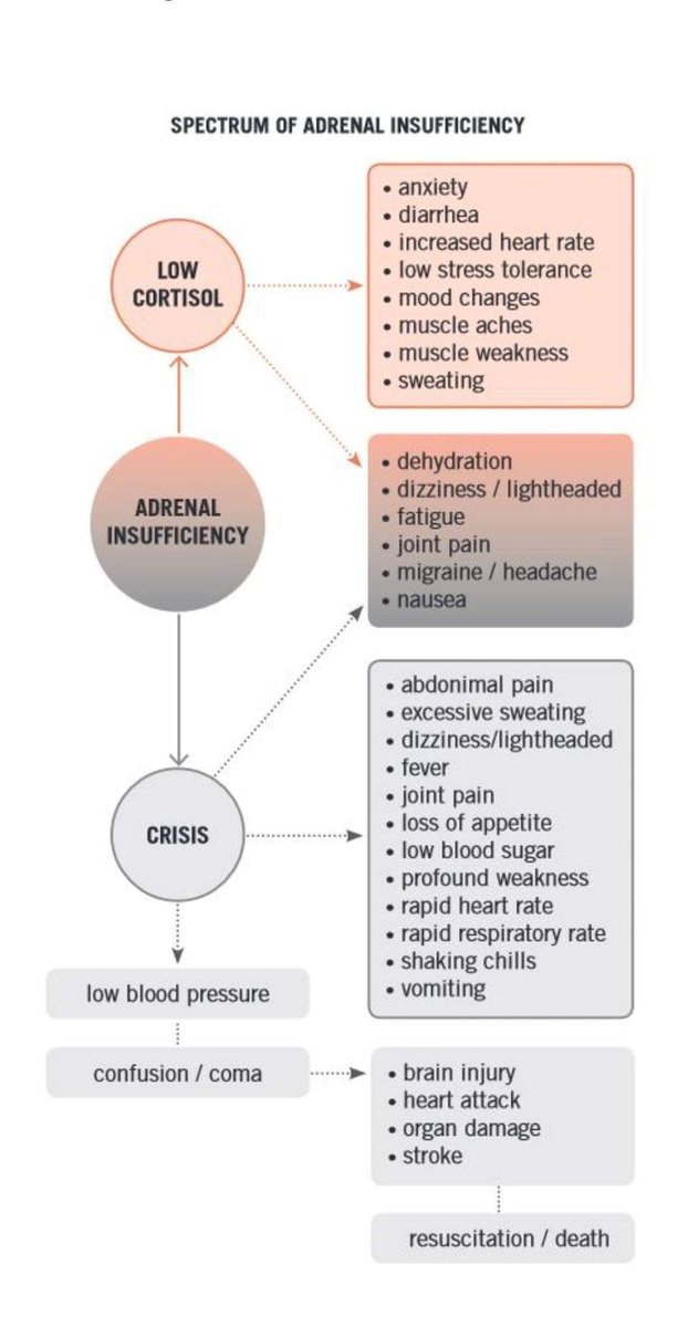 What is adrenal crisis & adrenal insufficiency?