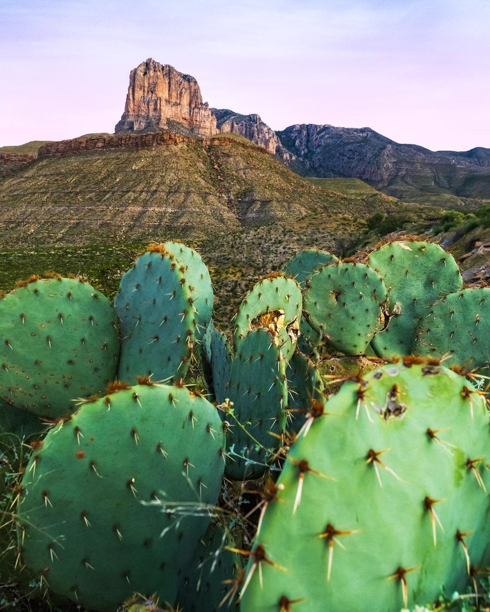 Spend a weekend out west in the natural wonders of Texas' Big Bend region! ⛰ bit.ly/3pmIt80

📷: @themaeganlanham