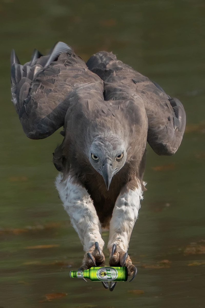 _Ortice's tweet image. on my way to your Madaraka Day BBQ @smusyoka 

Unataka Tusker Lite ngapi?

#KeepitLite