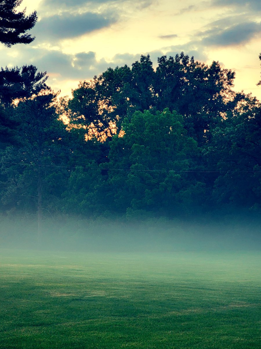 For fog's sake!!

#Foggy #nature #tree #trees #green #plants #grass #natural #NaturePhotography #naturelover #naturelovers #love #outdoors #NatureBeauty #beautiful #lover #Magic #magical #wicca #WitchyWednesday #witchcraft #witches #WitchWednesday #sunset #sunsetphotography

♡♡